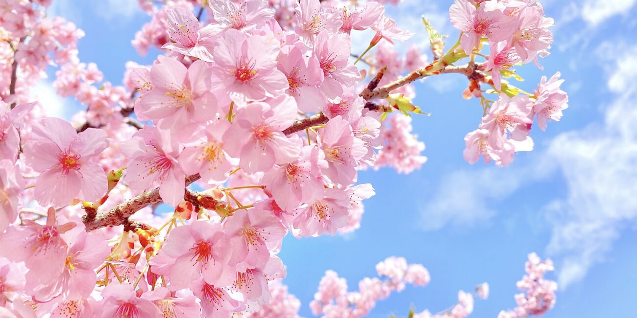 中学受験の窓口 Q&A：模試（画像）