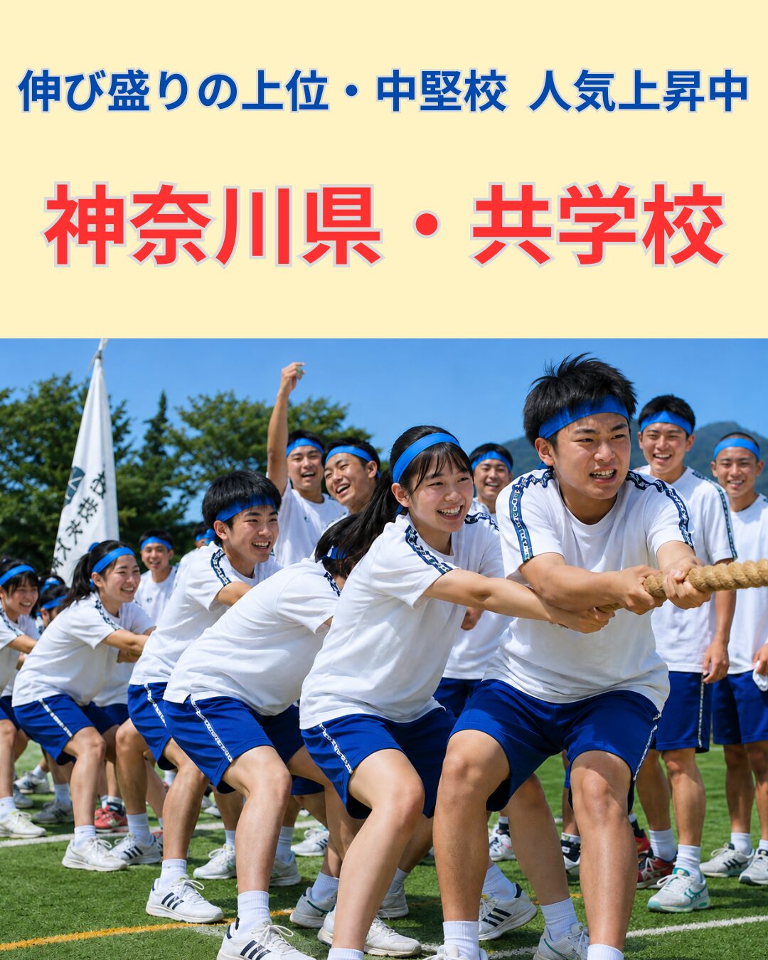 神奈川共学校画像